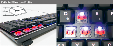 Dank Low-Profile-Bauweise fällt das transparente, mit einer LED bestückte Gehäuse des Kailh-Tasters flach aus. Dementsprechend kurz sind auch die Schalterwege: 1,5 mm Auslöse- und 3,0 mm Hubweg. Der Aktivierungsdruck liegt bei 45 cN/55 cN (rot/blau).