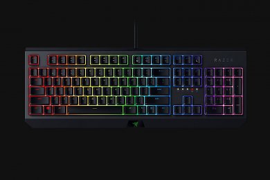 Razer Blackwidow 2019 (5)
