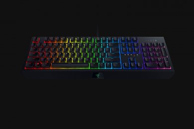 Razer Blackwidow 2019 (8)
