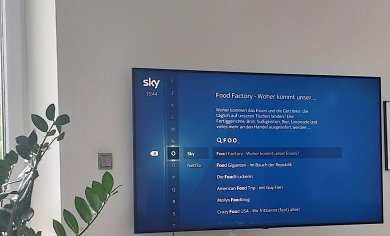Suchfunktion des Sky Q TV-Receivers mit integrierter Suche bei Netflix