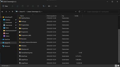 Windows 11 Datei Explorer Insider Build 22000.51