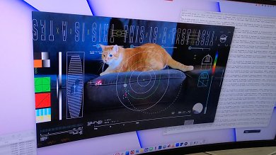 Ein Computerbildschirm im Missionsunterstützungsbereich zeigt Taters, die Katze, in einem Standbild des ersten hochauflösenden Streaming-Videos, das per Laser aus dem Weltraum gesendet wird, sowie den eingehenden Datenstrom, der die Bilder des Videos liefert.