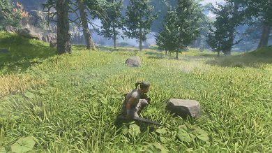 Enshrouded Early Access – Nettes Detail: Das Gras wächst dynamisch nach. Wenn wir diesen Stein aufklauben, ...