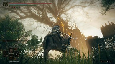 Elden Ring: Shadow of the Erdtree im Technik-Test (2)