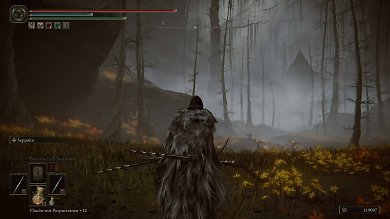 Elden Ring: Shadow of the Erdtree im Technik-Test