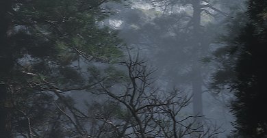 Black Myth: Wukong Standalone Benchmark, 4K TSR native (Vergrößert): Es zeigen sich in Bewegung einige hässliche Artefakte, insbesondere bei feinen Elementen.