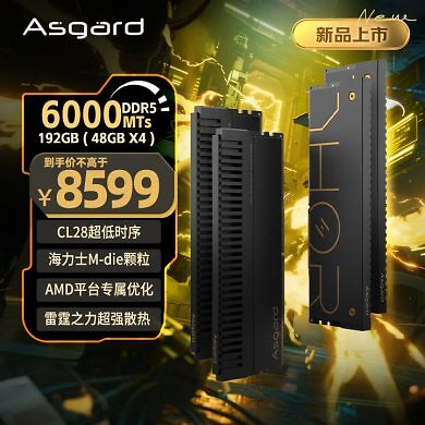 Thor-DDR5-6000-RAM von Asgard: 192 GiByte für 8.599 RMB.