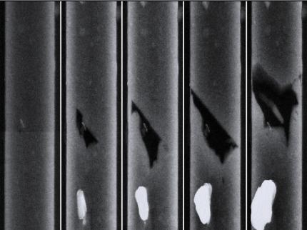 Elektromigration im Zeitraffer, hier in einem relativ dicken Aluminium-Leiter von 8 Mikrometer. Die Verformungen sind deutlich zu sehen. (Quelle: www.ifw-dresden.de)
