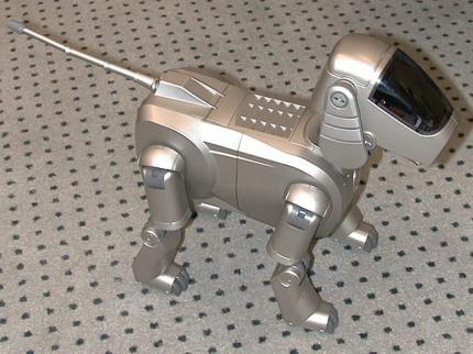 Der aktuelle AIBO kann lernen, wie er auf Anweisungen zu reagieren hat  er kann sogar mit WLAN und einer Kamera ausgerüstet werden.