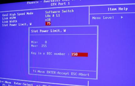 Das BIOS des PCs auf der WCG (Bild: Inquirer)