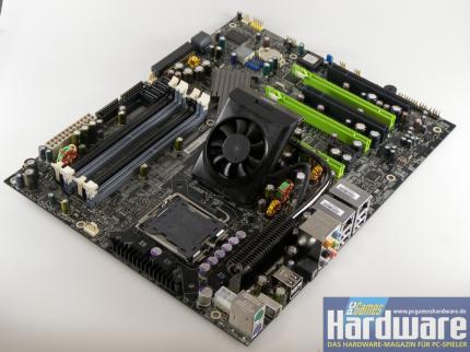 EVGA Nforce 780i SLI (Bild: PCGH)