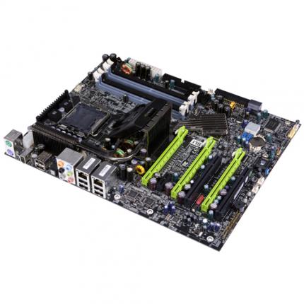 XFX Nforce 780i SLI
(Bild: techpowerup.com)