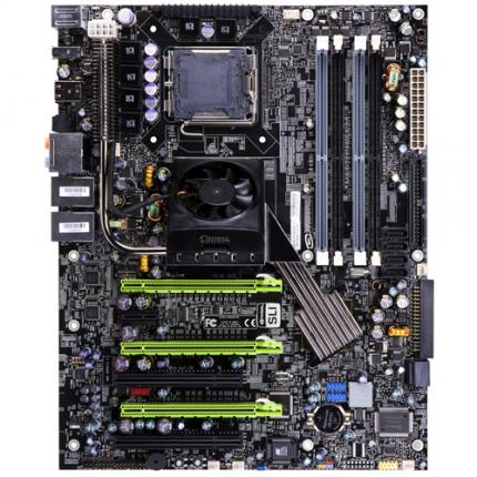 XFX Nforce 780i SLI
(Bild: techpowerup.com)