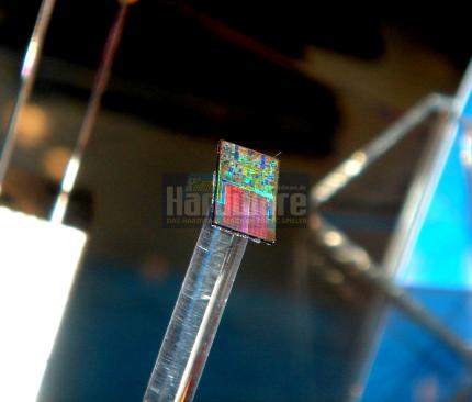 Intel: CPU-Die in 45-Nanometer-Technologie (Bild: PCGH)