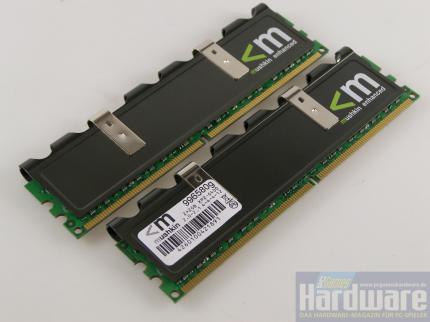 Muchkins 996580g: Fünf Leser bekommen das graue Pärchen zum Test und anschließend zum Verbleib. (Bild: PCGH)