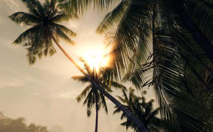 Crysis Warhead und der Catalyst 9.1: Kein AF in D3D10 und auch keine MT-Optimierungen