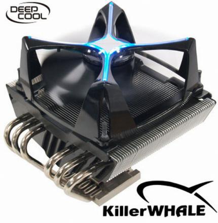 Deep Cool Killerwhale (3)