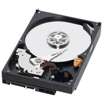HGST Megascale DC 4000.B: 4-TB-Festplatte für Einsatz in Rechenzentren angekündigt (im Bild: Western Digital Green)