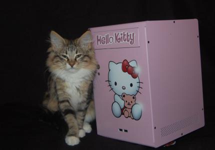 Hello-Kitty-PC im Eigenbau: das Finale (3)