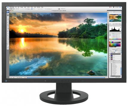 Eizo CG223W (4)