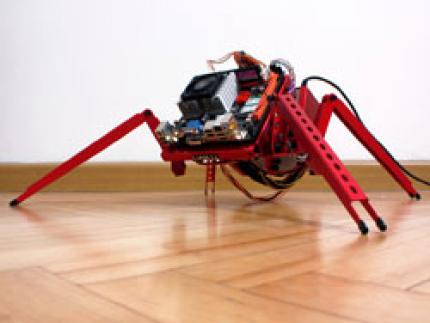Lian-Li Spider (6)