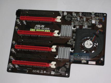 Asus ROG Dude 01