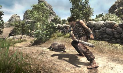 Gothic 4 - Arcania (22)