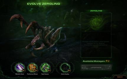 Starcraft 2 Heart of the Swarm im Hands-on-Test auf der Gamescom (16)