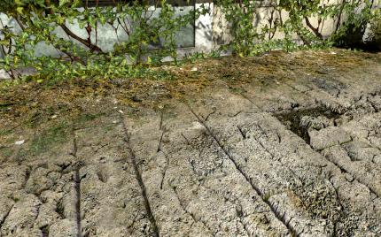 Serious Sam 3: Technik- und Gameplay-Preview mit PCGH-Impressionen (9)