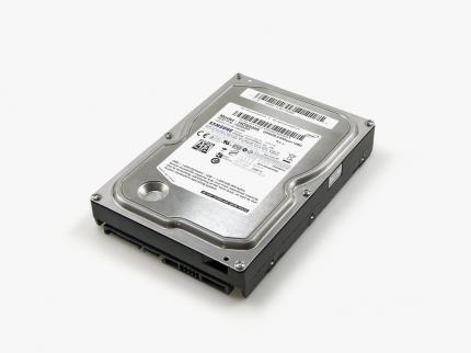 Moderne Zeiten 1: 3,5-Zoll-HDDs, hier beispielhaft eine Samsung F2 Ecogreen mit 500 GB