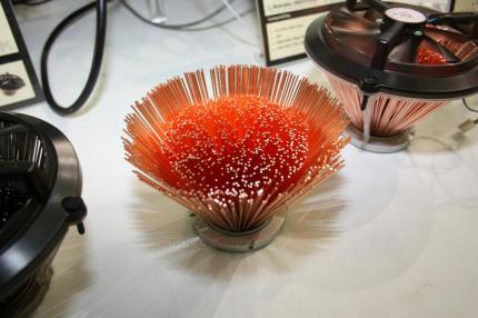 Warm Tek 'Blonde Hedgehog' C1-6