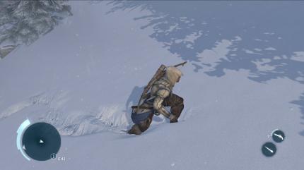 Assassin's Creed 3 im Test (24)