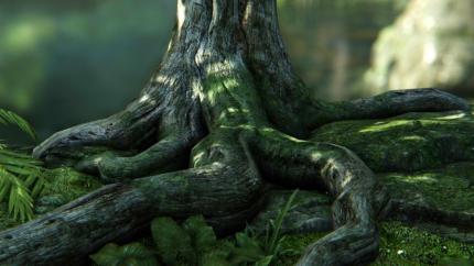 Pixel Accurate Displacement Mapping (PADM) aus