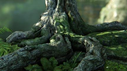 Pixel Accurate Displacement Mapping (PADM) an
