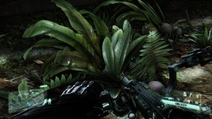 Crysis 3 im Technik-Test (6)