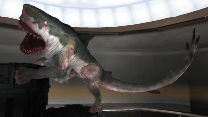 Der Carcharodon Polemo