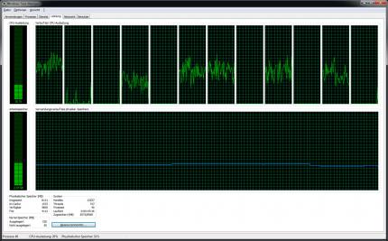 Star Citizen im Task Manager von Windows