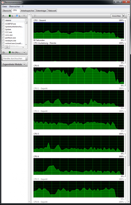 Assassins Creed: Black Flag - CPU Auslastung