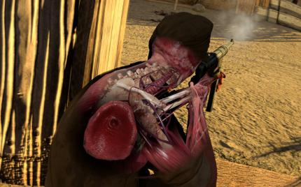 Sniper Elite 3: Wer erfolgreich 'snipt', bekommt kostenlos Anatomie-Nachhilfe.