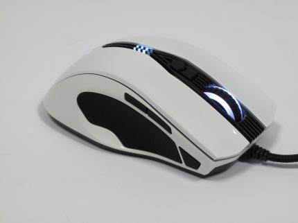 Epic Gear Gekkota - Ein perfekter Spielpartner dank symmetrischer Form und umfangreicher Software? (10)