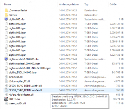 Interessant: Im Spielverzeichnis findet sich eine Nvidia-DLL für eine Umgebungsverdeckung mit Direct-X-12-Bezug