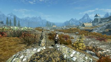 Skyrim Benchmarkszene 2