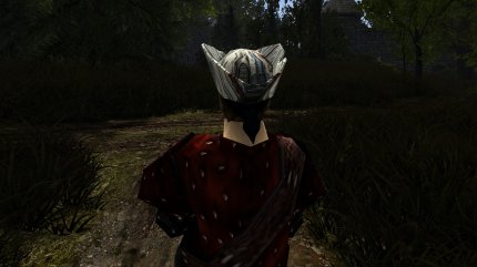 Nicht erschrecken, seltene Darstellungsfehler können mit dem DX11-Renderer entstehen. Hier versucht das Spiel beispielsweise dem Piratenhut eine Waffentextur zu verleihen. Oft hilft ein kurzer Neustart oder ein neues Update.