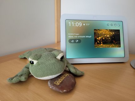 Echo Show 8