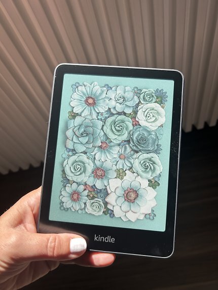 Die große E-Book-Reader-Kaufberatung - neu mit Test zum Kindle Colorsoft (2)