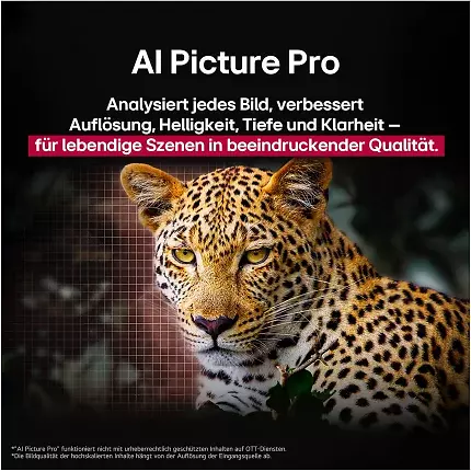 Der LG OLED TV B5 bietet eine erstklassige Bildqualität.