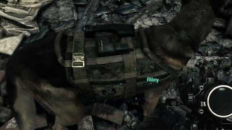 [Jetzt mit Vergleichsvideo] Call of Duty Ghosts: Patch für Fell-Physik und GPU-beschleunigte Partikeleffekte live