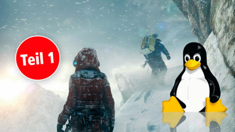 [PLUS] Linux gegen Windows 10: Wie gut klappt das Spielen?