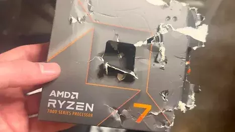 "Mein Hund hat die CPU gefressen": Deckt AMDs Garantie einen solchen Fall ab?