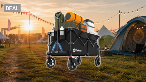 Festival-Fans aufgepasst: Beliebter XXL-Bollerwagen zum Bestpreis im Angebot